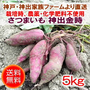 ���i�C���[�W1