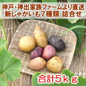 ���i�C���[�W1