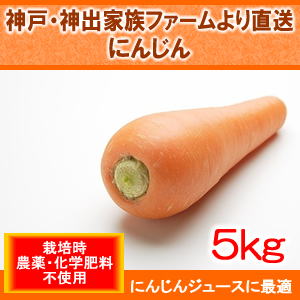 ���i�C���[�W1