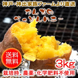 ���i�C���[�W1