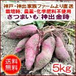 ���i�C���[�W