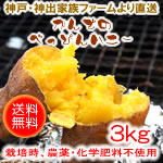 ���i�C���[�W