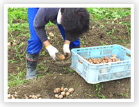 ���i�C���[�W2