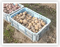 ���i�C���[�W3