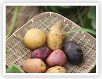 ���i�C���[�W4