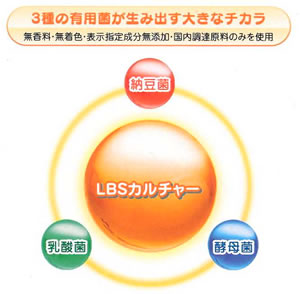 ���i�C���[�W2