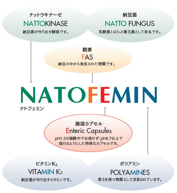 ���i�C���[�W4